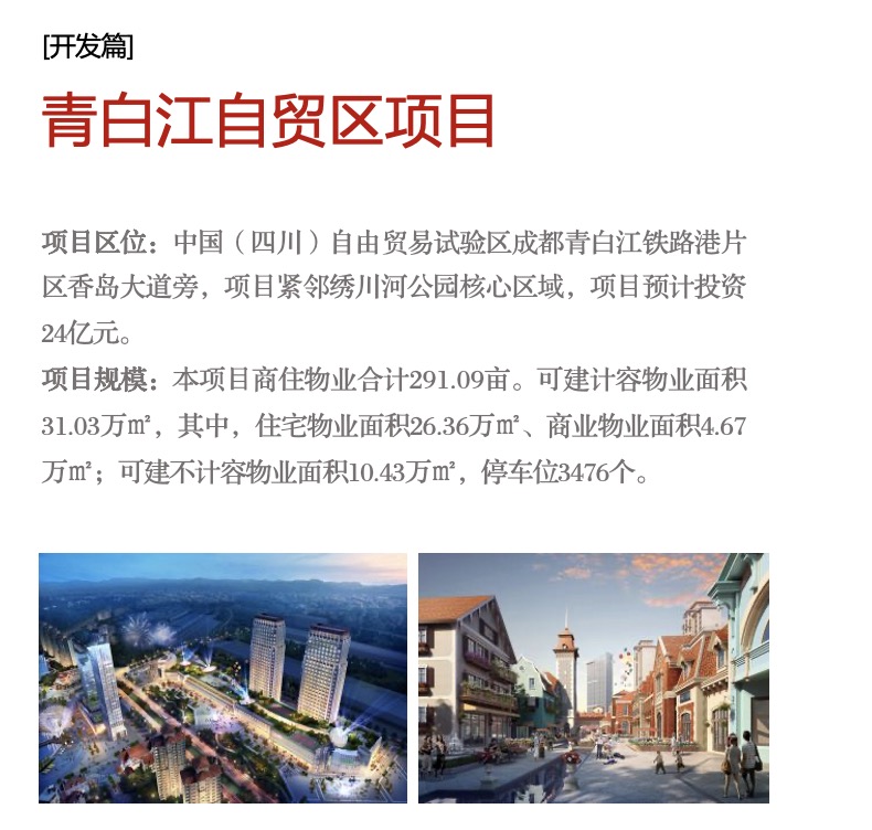 青白江項目.jpg